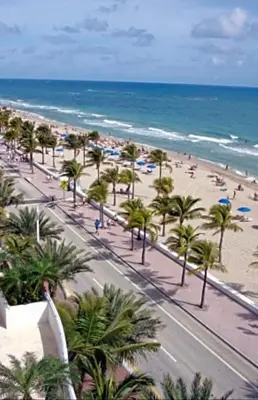 a view of a beach with palm trees and the ocean at GalleryOne Doubletree Hilton GC Secret Blending in Fort Lauderdale