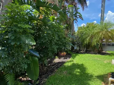 a garden with lush green plants and trees at Riverbank Guesthouse Wilton Manors in Fort Lauderdale