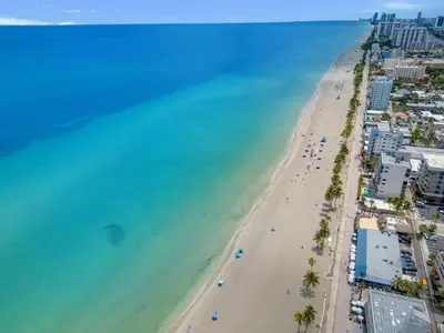 an aerial view of a beach with palm trees and the ocean at ULTRA chic apartment steps from the beach in Hollywood