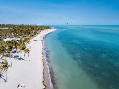 an aerial view of a beach with palm trees and the ocean at LaBella Suite in Miami