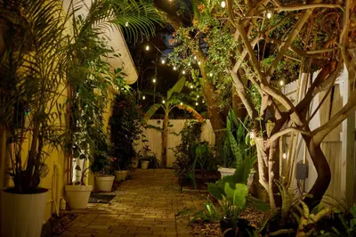 a patio with many plants and a bunch of trees at Private Villa Miami Pool Oasis in Miami