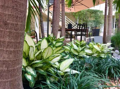 a garden with green plants and an umbrella at B01 Minutes from the beach Studio Midtown Wynwood in Miami