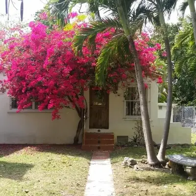 Private guest house in the heart of Miami! Surrounded by Miami's HOT spots!