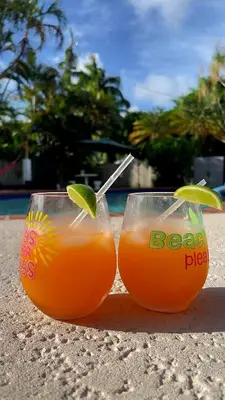 two glasses of orange juice sitting on the beach at Pool House Resort heated swimming pool private duplex in Cutler Bay