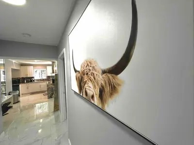 a picture of a bull with horns on a wall at Villa Bethesda in Miami