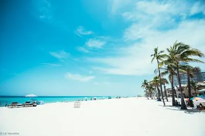 a white beach with palm trees and the ocean at Bright & Cozy Family Home Near Dania Beach in Dania Beach