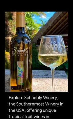 a bottle of wine sitting next to a wine glass at Tropical Studio in Miami