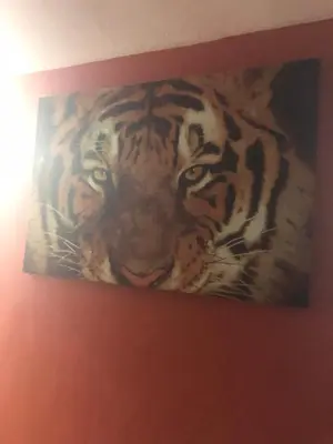 a painting of a tiger on a wall at Josiane Peace of stay in Miami
