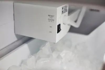 a box sitting on top of a pile of ice at Miami Pool Cottage, tropical garden paradise in Miami