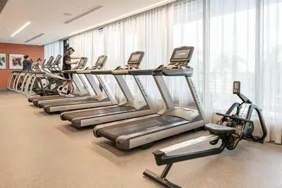 a row of cardio machines in a gym at La Central- CityPlace Doral and across from a Park in Miami