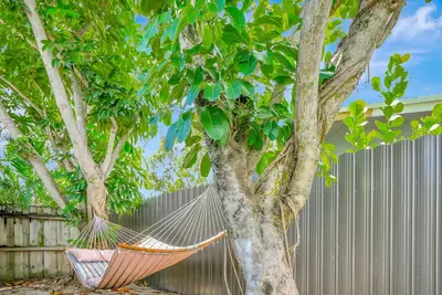 a hammock hanging from a tree next to a fence at Fort Lauderdale Tropical Oasis Pool Retreat in Fort Lauderdale
