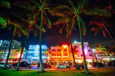 a group of palm trees in a city at night at Villa Jazmin Beach in Miami Beach