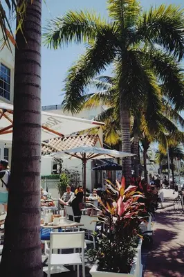 a restaurant with tables and chairs and palm trees at Villa Jazmin Beach in Miami Beach