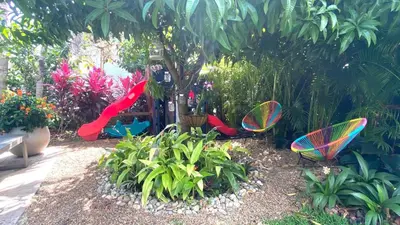 a garden with chairs and a tree and plants at Experience Miami Magic: Tropical Pool Escape in Miami