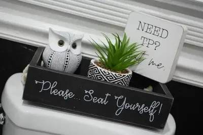 a black box with an owl and a potted plant at Most Unique Space in Fort Lauderdale