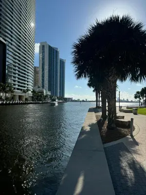 a palm tree next to a body of water with buildings at Brickell city center in Miami