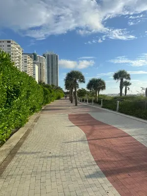 a brick walkway with palm trees in a city at Luxury Ocean Front Condo on Millionaires Row in Miami Beach