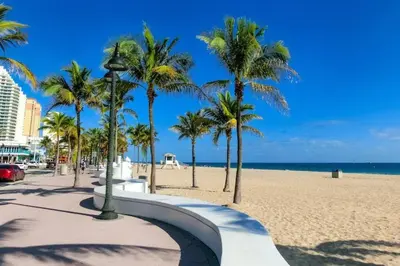 a sandy beach with palm trees and the ocean at 1 Block from the Beach 2BR 2BA Newly Renovated in Fort Lauderdale