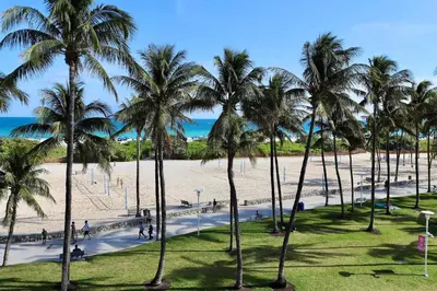 a group of palm trees on the beach at Beachfront Ocean Drive South Beach Miami in Miami Beach