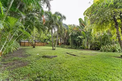 a yard with palm trees and a fence at Spacious 5BR Home with Pool, Near Downtown & Beach in Hollywood