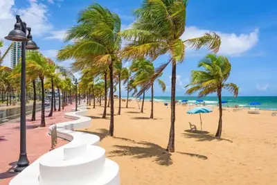 a beach with palm trees and the ocean at Ocean Views! Steps from Dining, Shopping, Las Olas in Fort Lauderdale