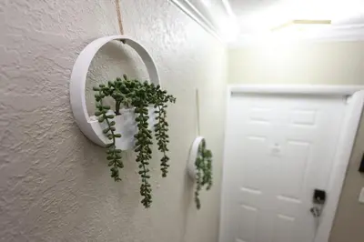 a plant in a pot on a wall next to a door at Walk to Stadium - 3BR King Bed Haven - Parking in Miami Gardens