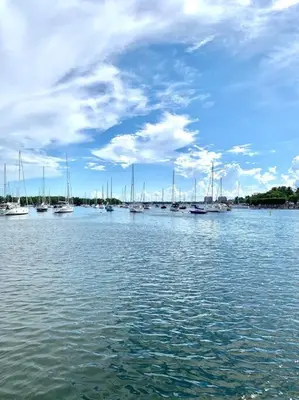 a group of boats are docked in a harbor at GroveO1 10 min from the beach in Miami