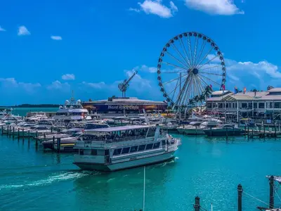 a ferris wheel and boats docked at a marina at Artful Luxury in Miami Most Iconic Spot in Miami