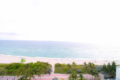 an aerial view of a beach with palm trees and the ocean at Castle 929 Stunning ocean view, pool, beach access, tennis, free parking in Miami Beach