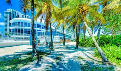 a group of palm trees in front of a building at Castle 830 OceanView Balcony Studio, Pool, Tennis, Free Parking in Miami Beach