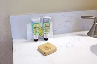 two bottles of fluoride toothpaste and a box of soap on a sink at Art Deco Suite Steps from Beach in South of Fifth in Miami Beach