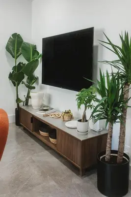 a living room with potted plants and a flat screen tv at Miami Oasis - Unit A in Miami