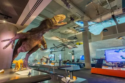 a dinosaur model on display in a museum at NEW Luxury Bay View Downtown Studio in Miami
