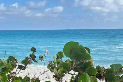 a view of the ocean from the beach at 3-BR space in charming Hollywood in Hollywood
