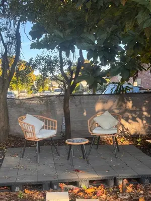 two chairs and a table and a tree at Known for its beaches & walk to downtown Hollywood Bliss 3 in Hollywood