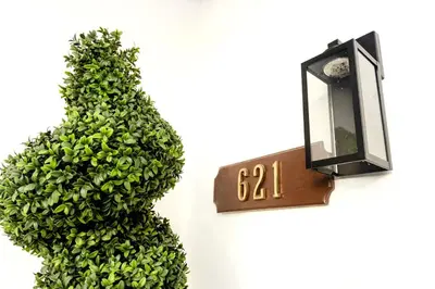 a plant next to a clock on a wall at Your Perfect Oasis in Miami! in Miami