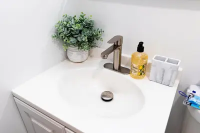 a bathroom sink with a bottle of soap and a plant at Best Room in Miami ! in Miami