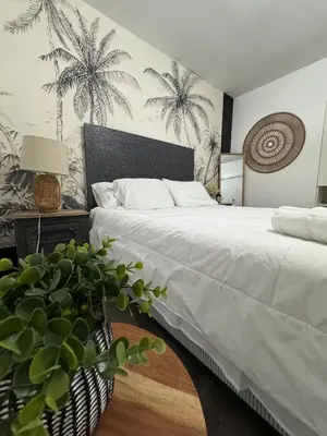 a bedroom with a bed and a potted plant at Hotel Rainbow - Miami - Little Havanna in Miami