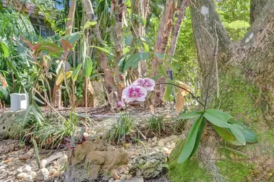 a garden with a statue of a dog with flowers at Tropical Oasis Studio w Pool in Fort Lauderdale