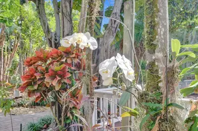 a bunch of flowers on a fence next to trees at Tropical Oasis Studio w Pool in Fort Lauderdale