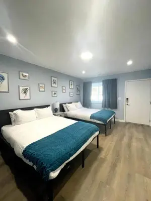 two beds in a bedroom with blue walls at Las Olas Studio W Parking 10 min to FLL and beach in Hollywood
