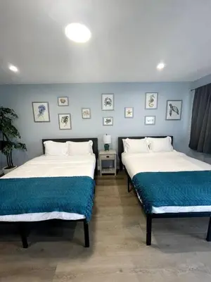 two beds in a room with blue walls at Las Olas Studio W Parking 10 min to FLL and beach in Hollywood