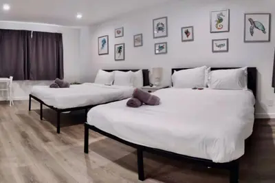 two beds in a room with white walls at Charming DBL W pool and parking 15 min to FLL and Beach in Hollywood