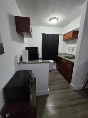 a kitchen with a sink and a counter in a room at Cozy Place Near Design District - 3 in Miami