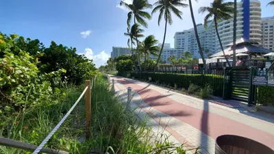 a walk way with palm trees and a fence at Alexander 1115 in Miami Beach