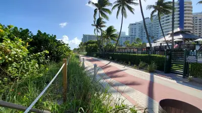 a walk way with palm trees and a fence at Alexander 1419 in Miami Beach