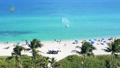 a beach with people and umbrellas and the ocean at Alexander 901 in Miami Beach