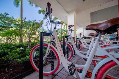 a group of bikes parked next to each other at 2B 2B Relax in Miami Beach and Luxury services in Hallandale Beach