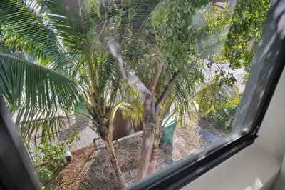 a view of a palm tree from a window at Miami Flats - Self Check-in and 1 Free Parking in Miami