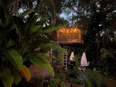 a tree house with a deck with lights on it at Miami Pool Cottage in Miami